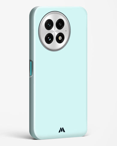 Arctic Seas Hard Case Phone Cover (OnePlus)