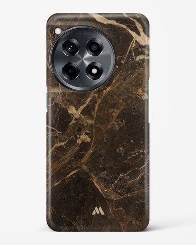 Mayan Ruins in Marble Hard Case Phone Cover (OnePlus)