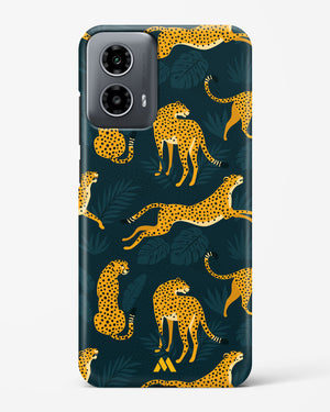 Cheetahs in the Wild Hard Case Phone Cover (Motorola)