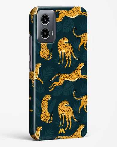 Cheetahs in the Wild Hard Case Phone Cover (Motorola)
