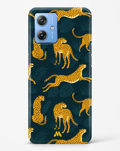 Cheetahs in the Wild Hard Case Phone Cover (Motorola)