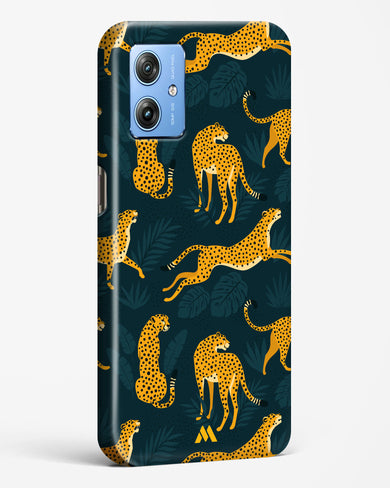 Cheetahs in the Wild Hard Case Phone Cover (Motorola)