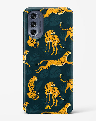 Cheetahs in the Wild Hard Case Phone Cover (Motorola)