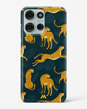 Cheetahs in the Wild Hard Case Phone Cover (Motorola)