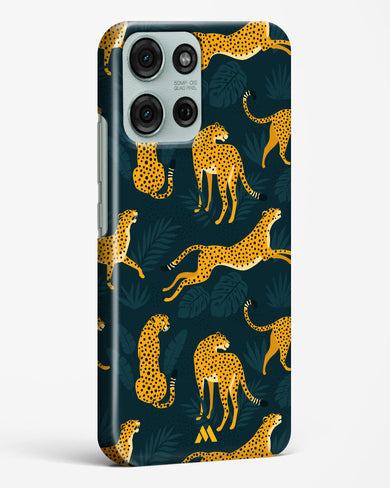 Cheetahs in the Wild Hard Case Phone Cover (Motorola)