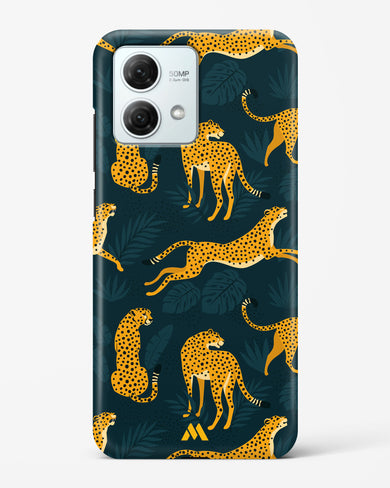 Cheetahs in the Wild Hard Case Phone Cover (Motorola)