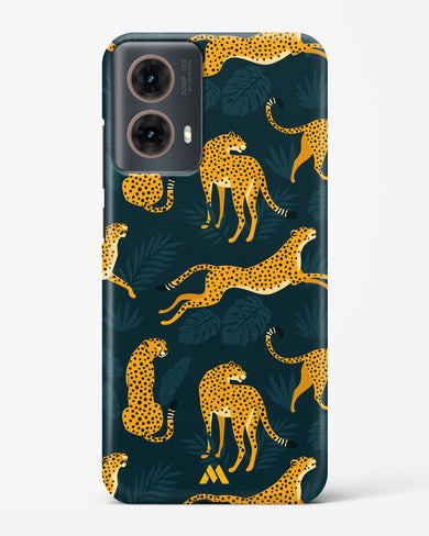 Cheetahs in the Wild Hard Case Phone Cover (Motorola)