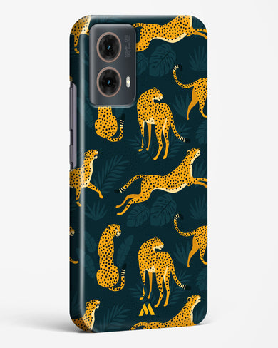 Cheetahs in the Wild Hard Case Phone Cover (Motorola)