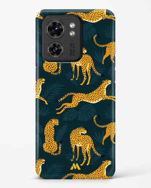 Cheetahs in the Wild Hard Case Phone Cover (Motorola)