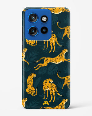 Cheetahs in the Wild Hard Case Phone Cover (Motorola)