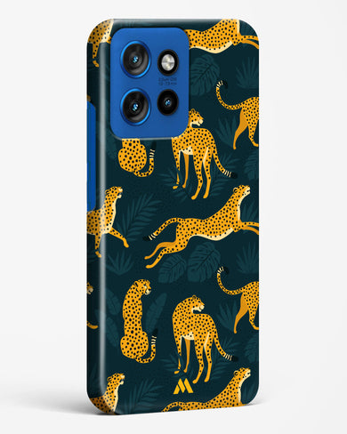 Cheetahs in the Wild Hard Case Phone Cover (Motorola)