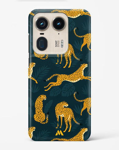 Cheetahs in the Wild Hard Case Phone Cover (Motorola)