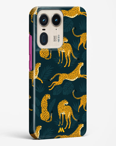 Cheetahs in the Wild Hard Case Phone Cover (Motorola)