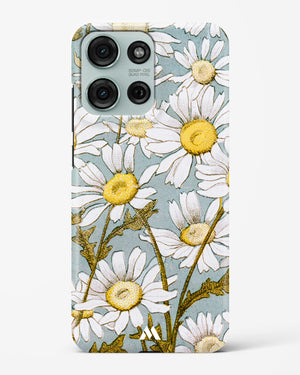Daisy Flowers [L Prang & Co] Hard Case Phone Cover (Motorola)
