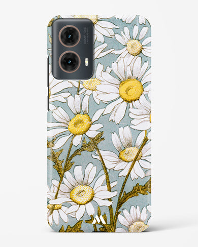 Daisy Flowers [L Prang & Co] Hard Case Phone Cover (Motorola)