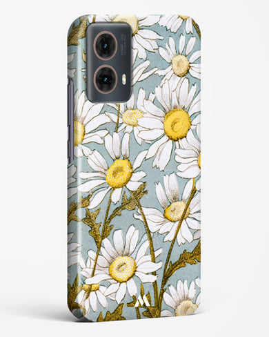 Daisy Flowers [L Prang & Co] Hard Case Phone Cover (Motorola)