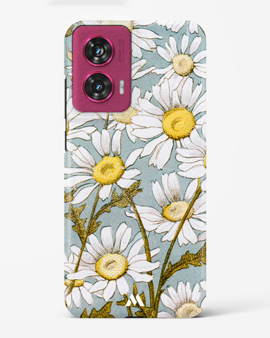 Daisy Flowers [L Prang & Co] Hard Case Phone Cover (Motorola)