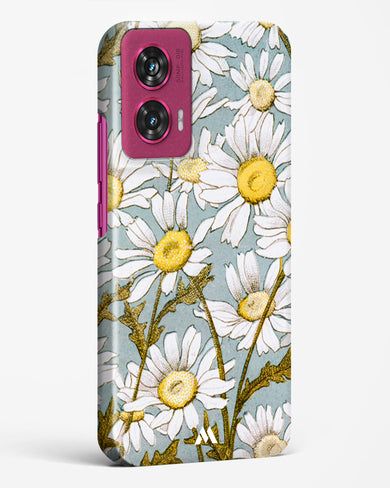 Daisy Flowers [L Prang & Co] Hard Case Phone Cover (Motorola)