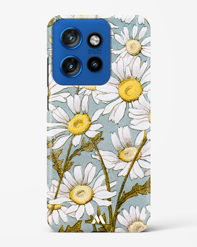 Daisy Flowers [L Prang & Co] Hard Case Phone Cover (Motorola)