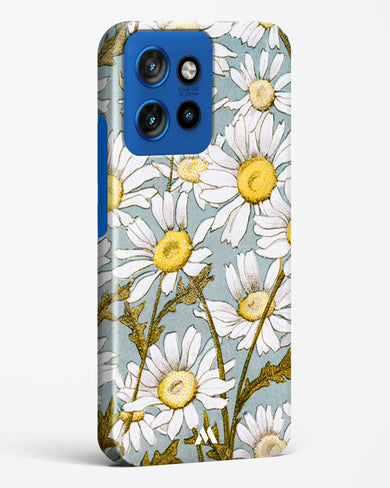 Daisy Flowers [L Prang & Co] Hard Case Phone Cover (Motorola)