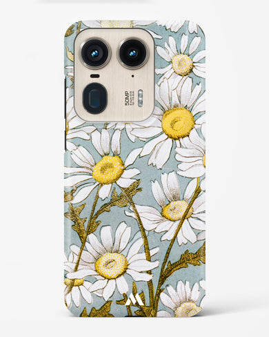 Daisy Flowers [L Prang & Co] Hard Case Phone Cover (Motorola)