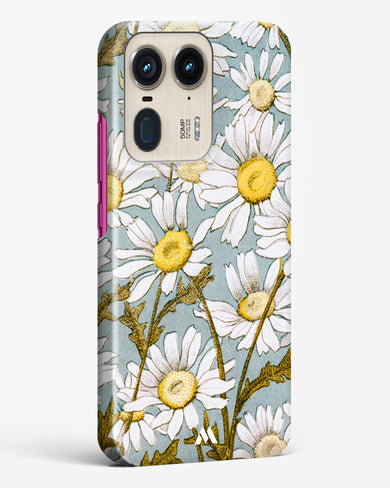 Daisy Flowers [L Prang & Co] Hard Case Phone Cover (Motorola)