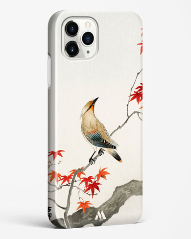 Japanese Plague bird On Maple [Ohara Koson] Hard Case Phone Cover (Apple)
