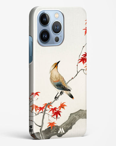 Japanese Plague bird On Maple [Ohara Koson] Hard Case Phone Cover-(Apple)