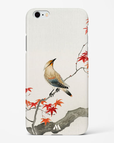Japanese Plague bird On Maple [Ohara Koson] Hard Case Phone Cover (Apple)