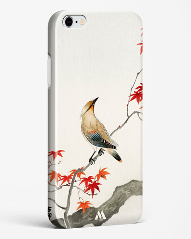 Japanese Plague bird On Maple [Ohara Koson] Hard Case Phone Cover (Apple)