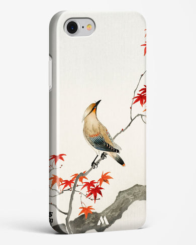 Japanese Plague bird On Maple [Ohara Koson] Hard Case Phone Cover (Apple)