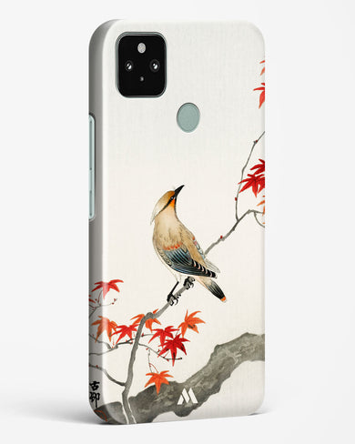 Japanese Plague bird On Maple [Ohara Koson] Hard Case Phone Cover-(Google)