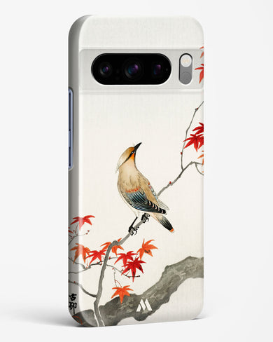 Japanese Plague bird On Maple [Ohara Koson] Hard Case Phone Cover-(Google)