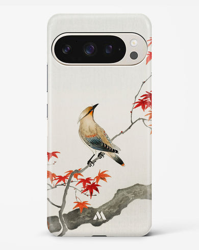 Japanese Plague bird On Maple [Ohara Koson] Hard Case Phone Cover (Google)