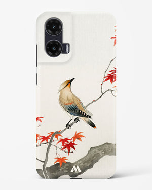 Japanese Plague bird On Maple [Ohara Koson] Hard Case Phone Cover (Motorola)