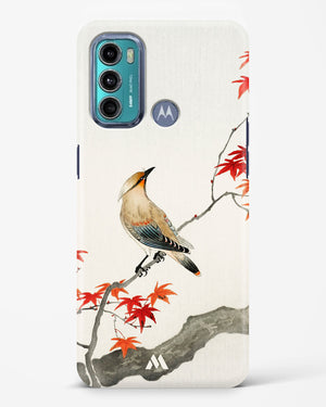 Japanese Plague bird On Maple [Ohara Koson] Hard Case Phone Cover (Motorola)
