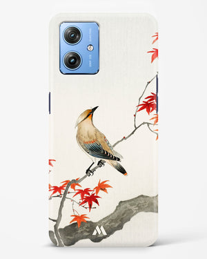 Japanese Plague bird On Maple [Ohara Koson] Hard Case Phone Cover (Motorola)