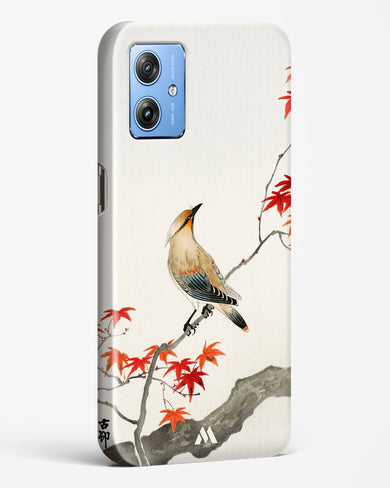 Japanese Plague bird On Maple [Ohara Koson] Hard Case Phone Cover (Motorola)