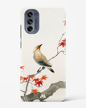 Japanese Plague bird On Maple [Ohara Koson] Hard Case Phone Cover (Motorola)