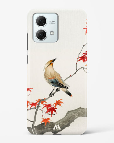 Japanese Plague bird On Maple [Ohara Koson] Hard Case Phone Cover (Motorola)