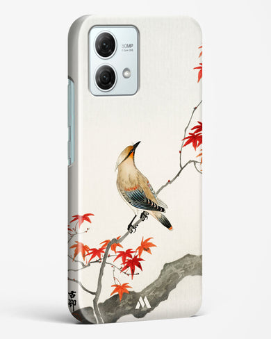 Japanese Plague bird On Maple [Ohara Koson] Hard Case Phone Cover (Motorola)