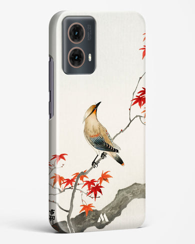 Japanese Plague bird On Maple [Ohara Koson] Hard Case Phone Cover (Motorola)