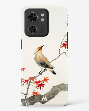 Japanese Plague bird On Maple [Ohara Koson] Hard Case Phone Cover (Motorola)