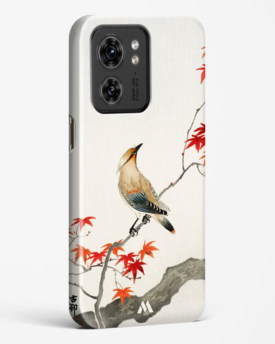 Japanese Plague bird On Maple [Ohara Koson] Hard Case Phone Cover (Motorola)
