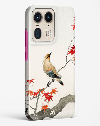 Japanese Plague bird On Maple [Ohara Koson] Hard Case Phone Cover (Motorola)