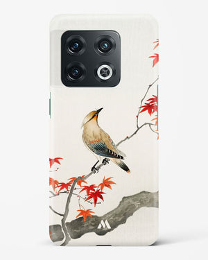 Japanese Plague bird On Maple [Ohara Koson] Hard Case Phone Cover-(OnePlus)