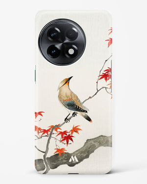 Japanese Plague bird On Maple [Ohara Koson] Hard Case Phone Cover-(OnePlus)