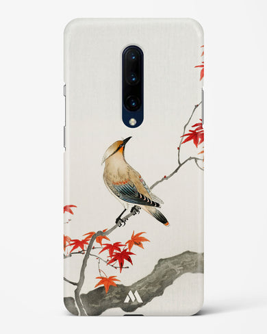 Japanese Plague bird On Maple [Ohara Koson] Hard Case Phone Cover-(OnePlus)