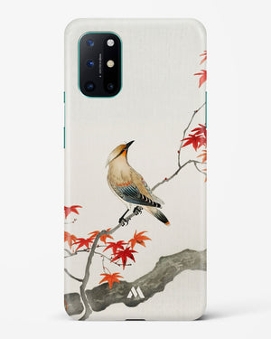 Japanese Plague bird On Maple [Ohara Koson] Hard Case Phone Cover-(OnePlus)