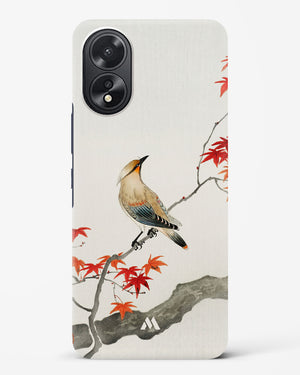Japanese Plague bird On Maple [Ohara Koson] Hard Case Phone Cover (Oppo)